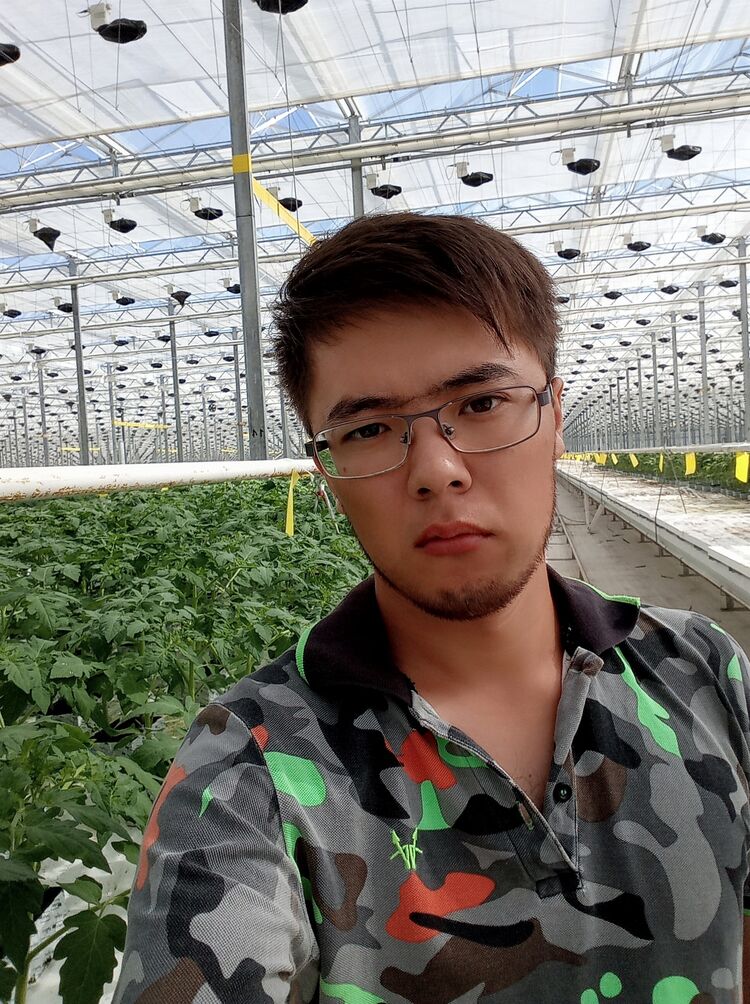 ���� 56193733 ������� Dan, 30 ���, ���� ���������� � �������