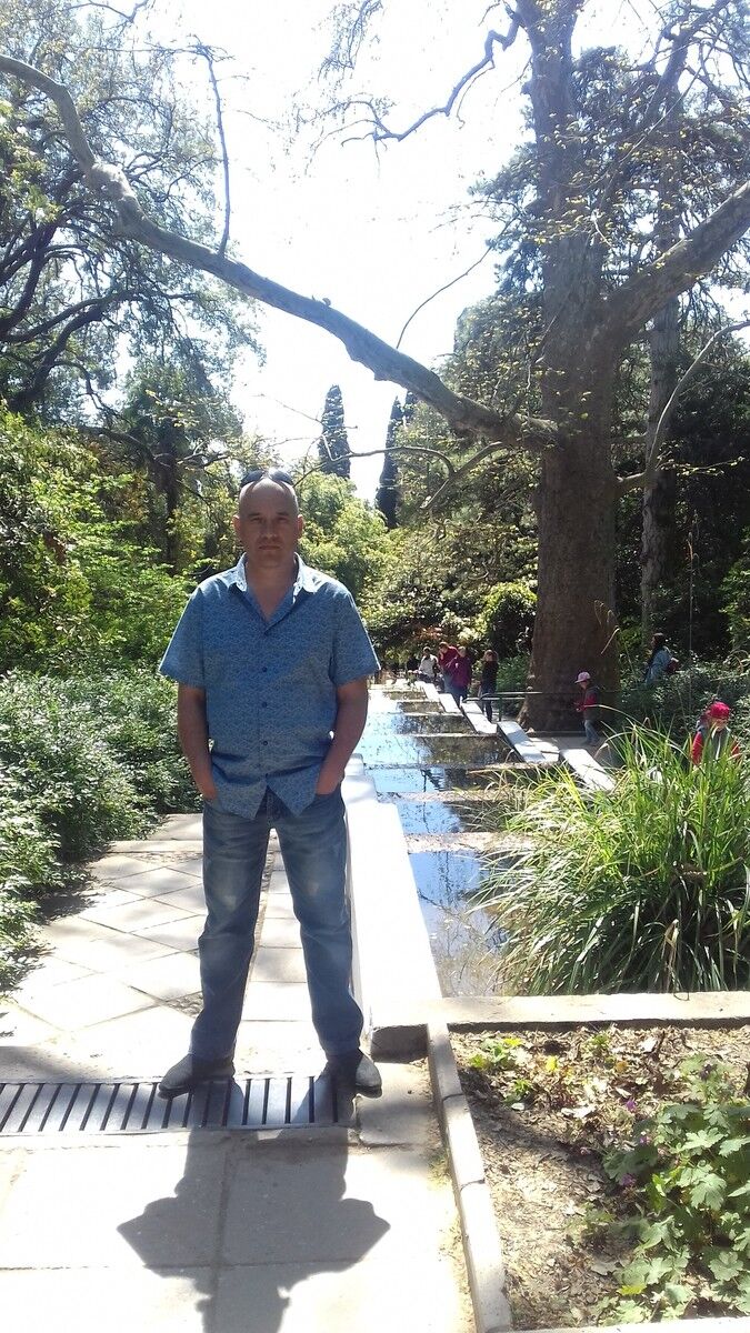  ,   , 53 ,  