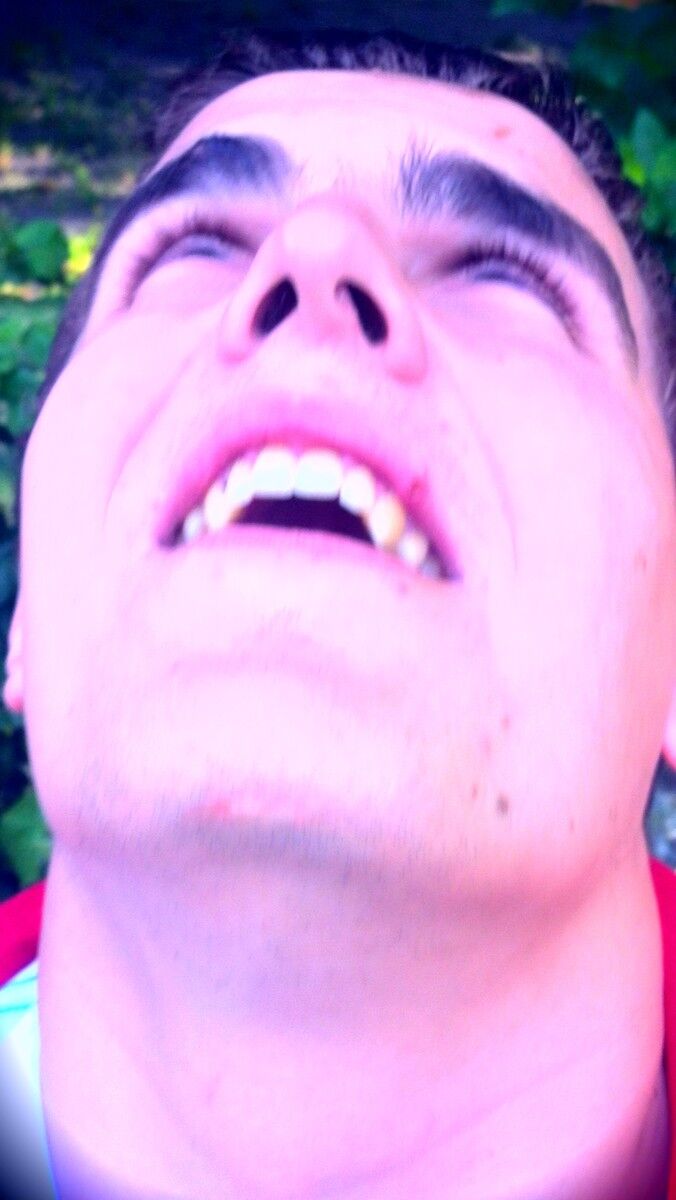 ���������� �����, ���� ������� ���������, 31 ���, ������������ ��� ������, ����� � ���������, c�������� ���������