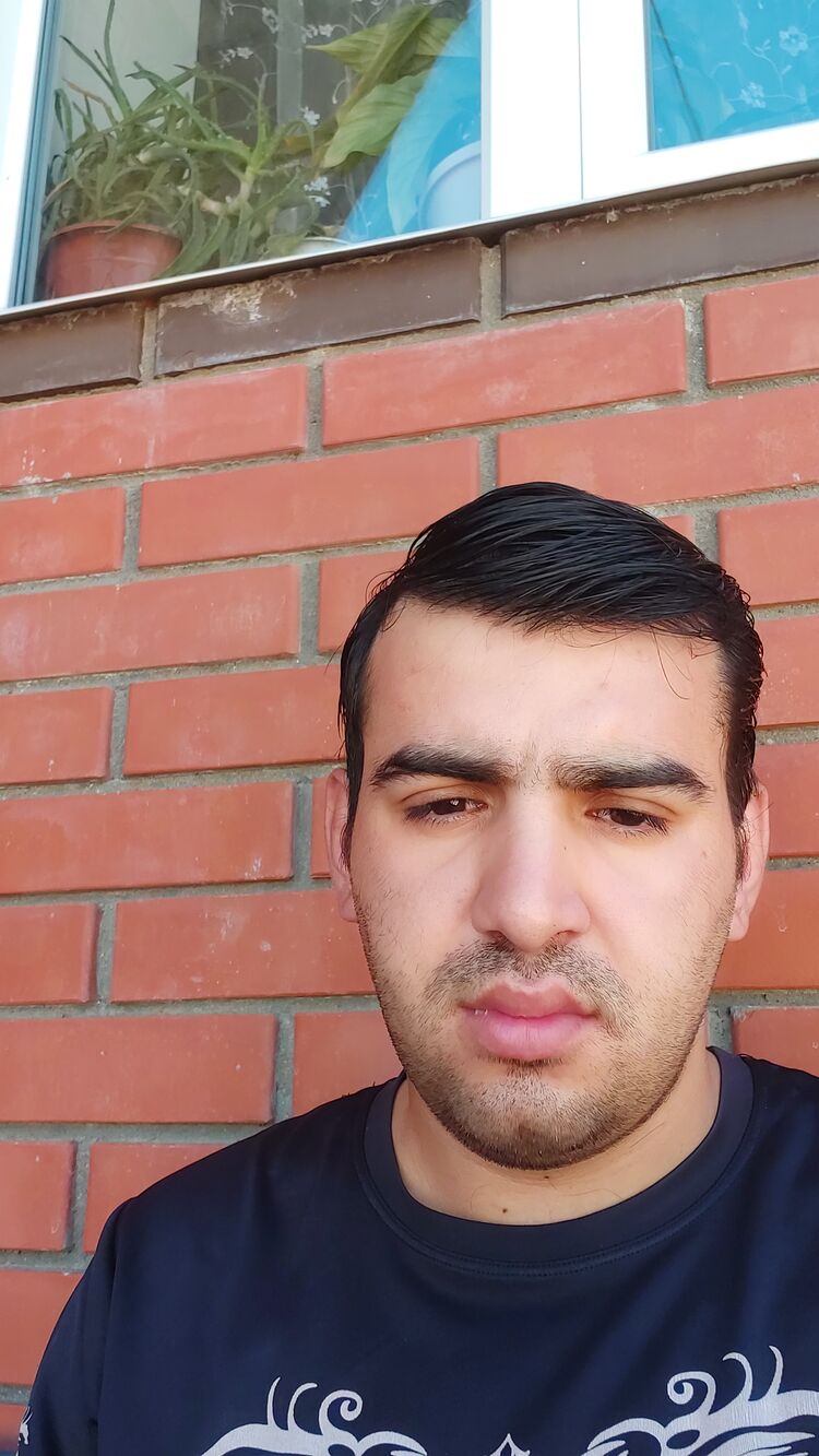  28566123  , 31 ,    