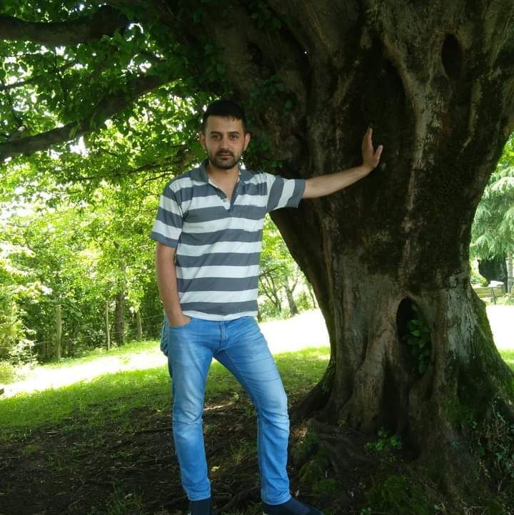  31060263  , 45 ,    