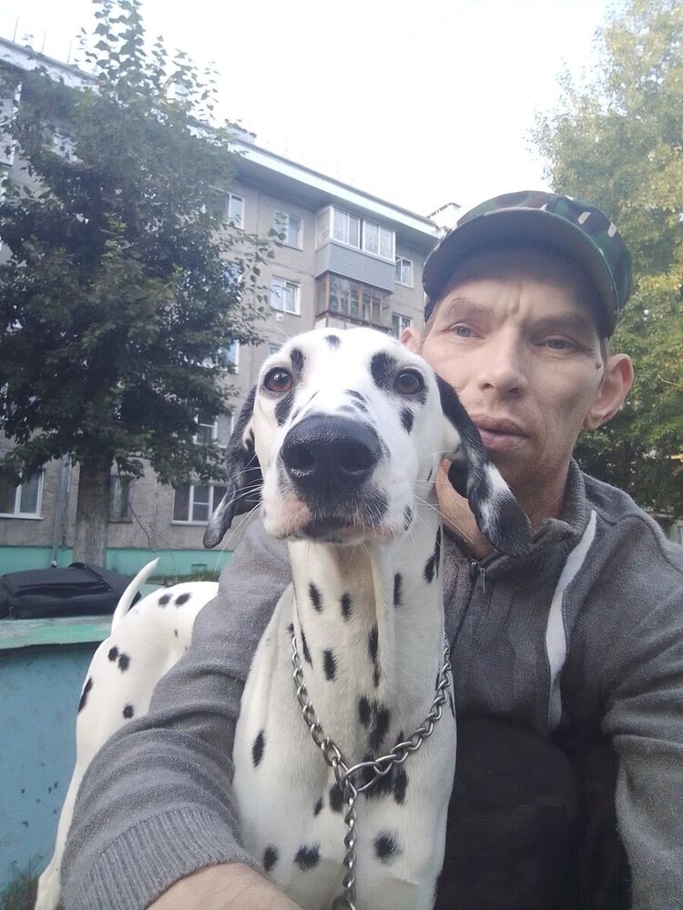 ���������� �������, ���� ������� ��������, 44 ����, ������������ 