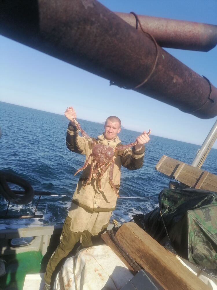 ���������� �������, ���� ������� �������, 38 ���, ������������ ��� ������, ����� � ���������