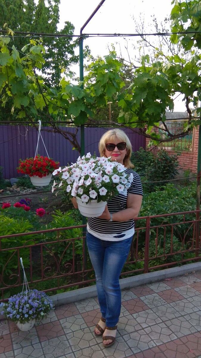  19117093  Svetlana, 60 ,    