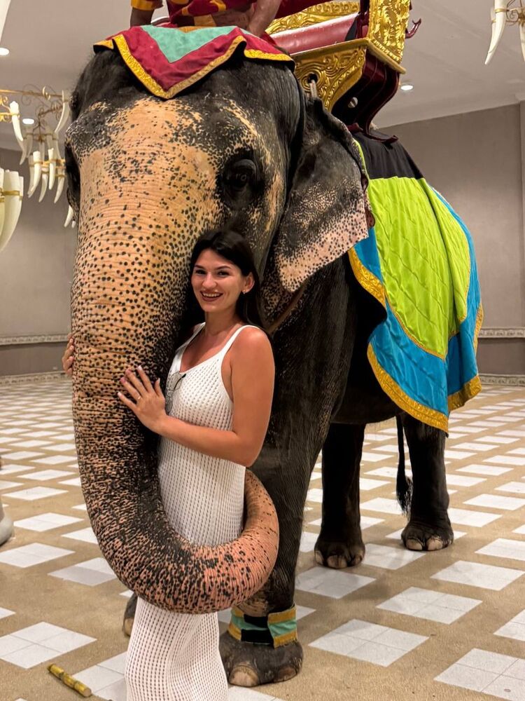 ���� 56184733 ������� ������, 30 ���, ���� ���������� � ��������