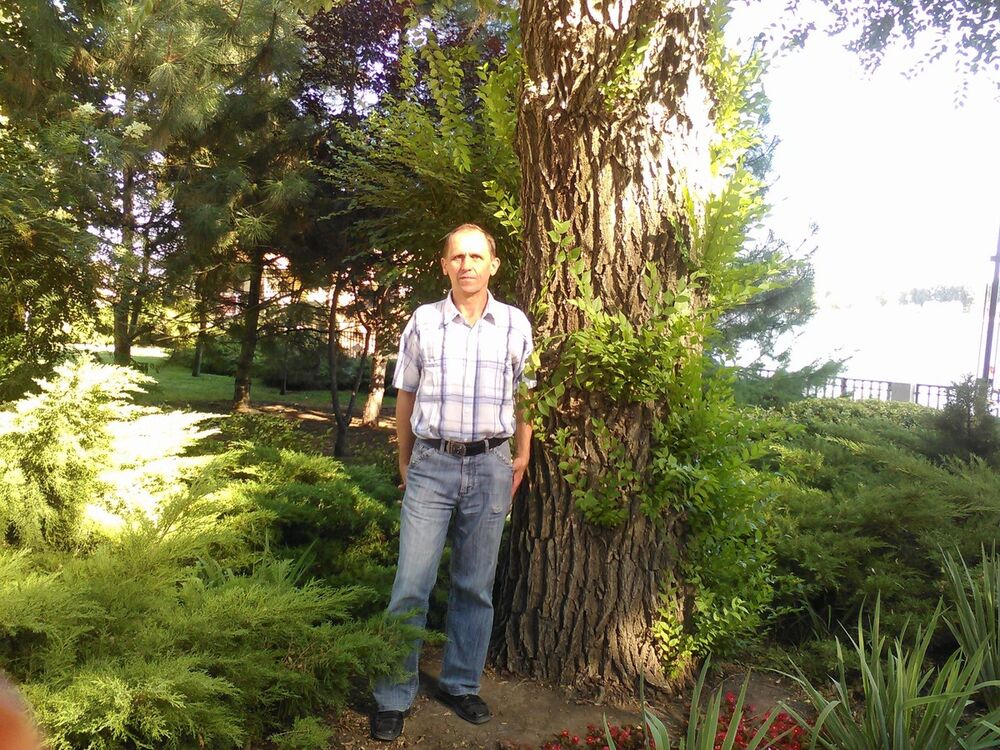 ���� 9336353 ������� �����, 65 ���, ���� ���������� � �������-��-����