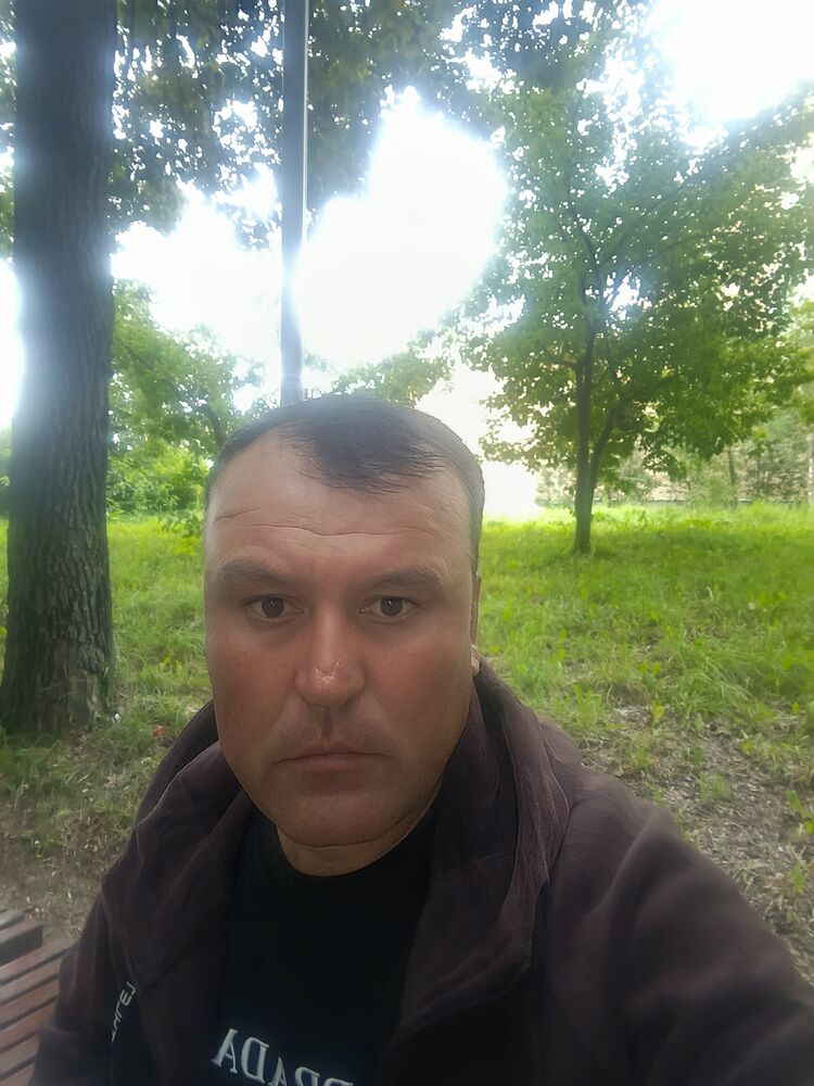  53170723   , 43 ,    