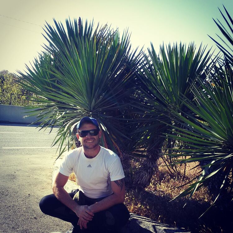 ���������� ���������, ���� ������� ����, 39 ���, ������������ ��� ������, ����� � ���������, c�������� ���������