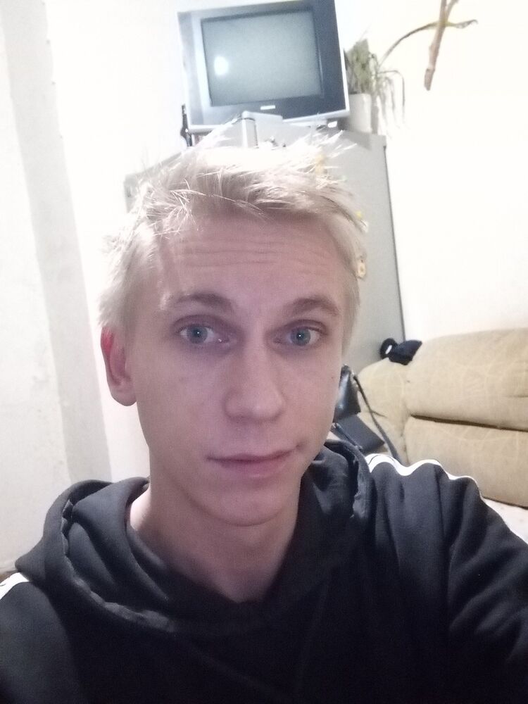  33039353  , 29 ,    