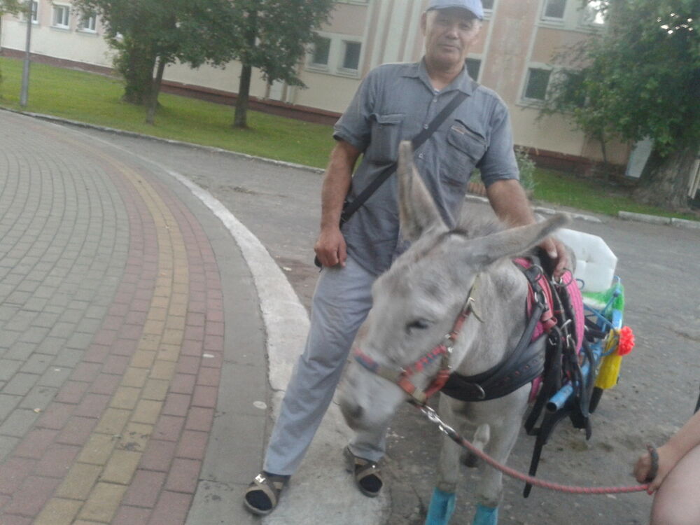  ,   , 57 ,   ,   , c , 