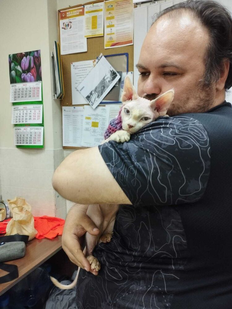 ���� 36708833 ������� �����, 42 ����, ���� ���������� � �����-����������