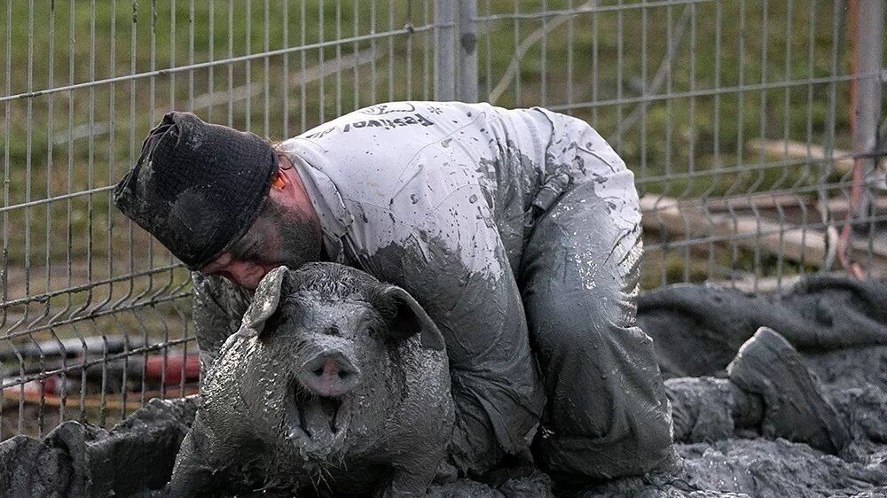 ���������� �����-���������, ���� ������� ���������, 53 ����, ������������ 