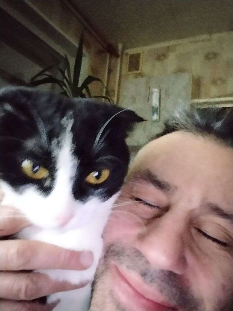  ,   , 52 ,   ,   
