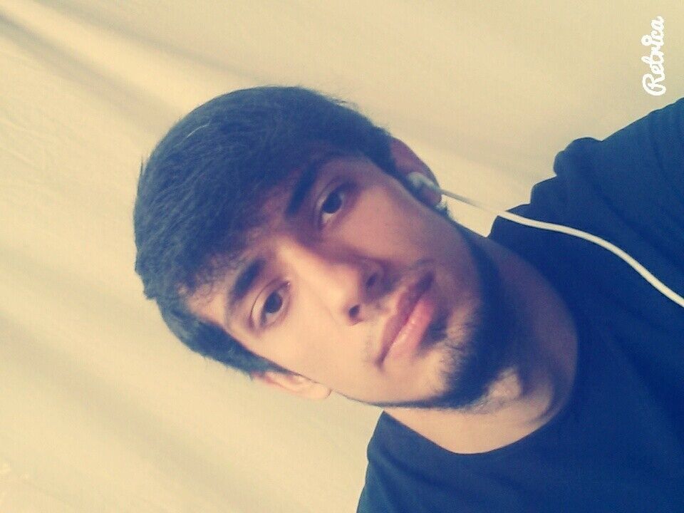 ���� 8095463 ������� 501070909Vib, 30 ���, ���� ���������� � �������