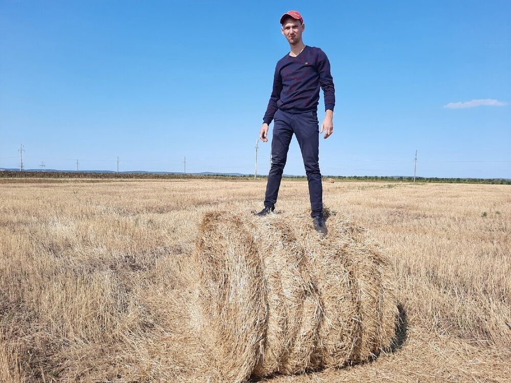 ���������� �������, ���� ������� �����, 31 ���, ������������ ��� c�������� ���������