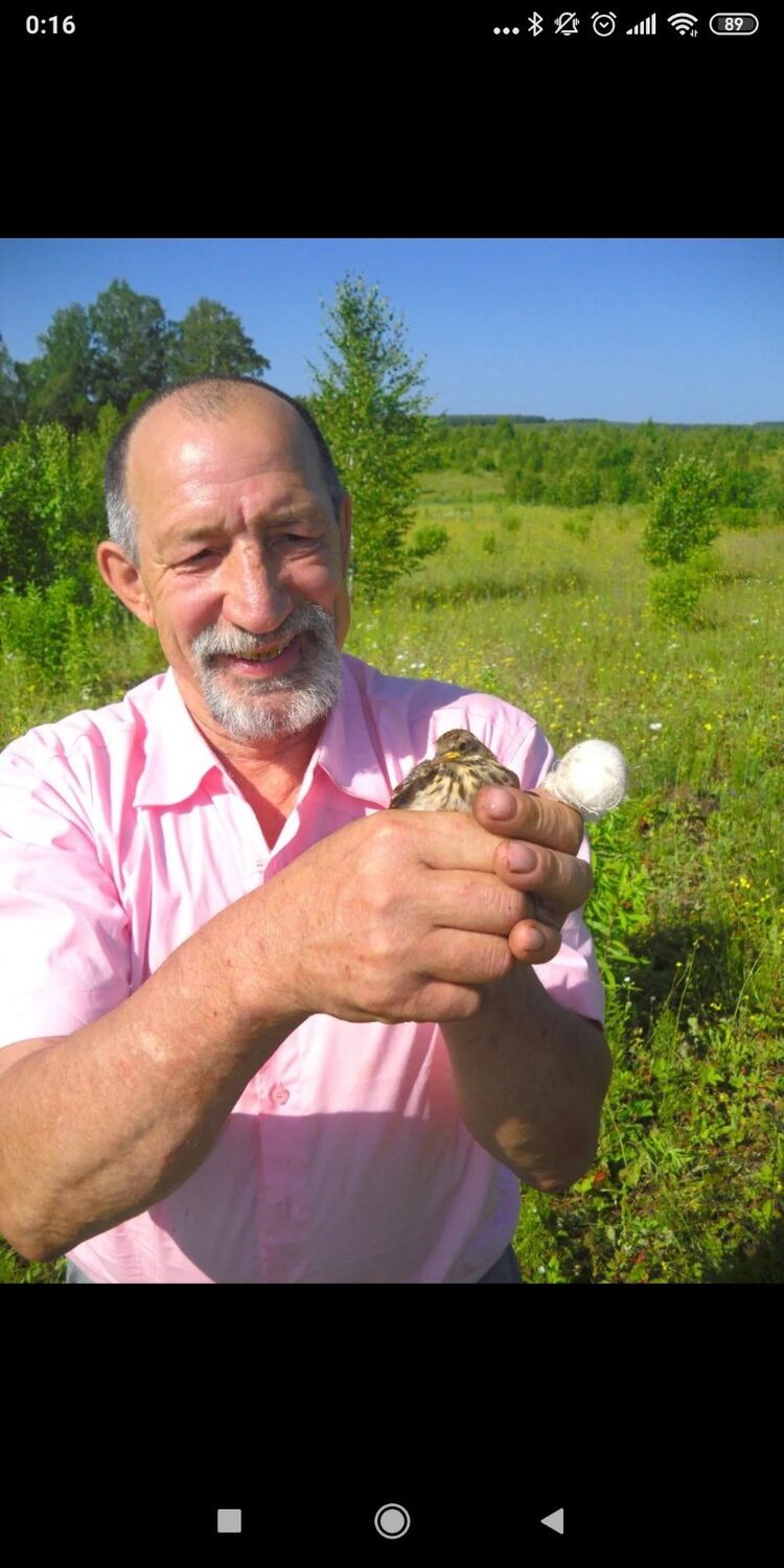  ,   , 65 ,   ,   