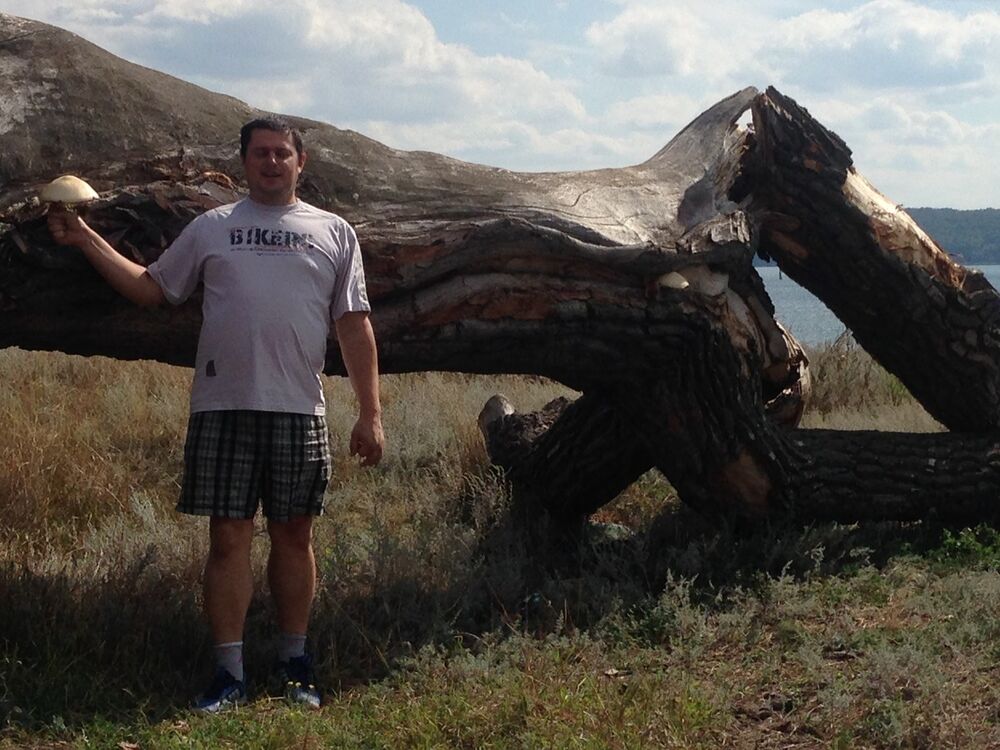 ���� 13363083 ������� ���������, 51 ���, ���� ���������� � ��������