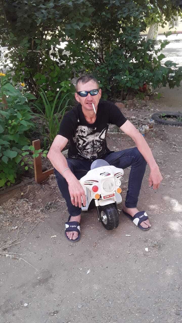 ���� 42653693 ������� �������, 44 ����, ���� ���������� � ����������