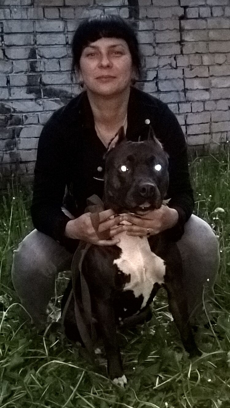  26614463  Svetlana, 42 ,    