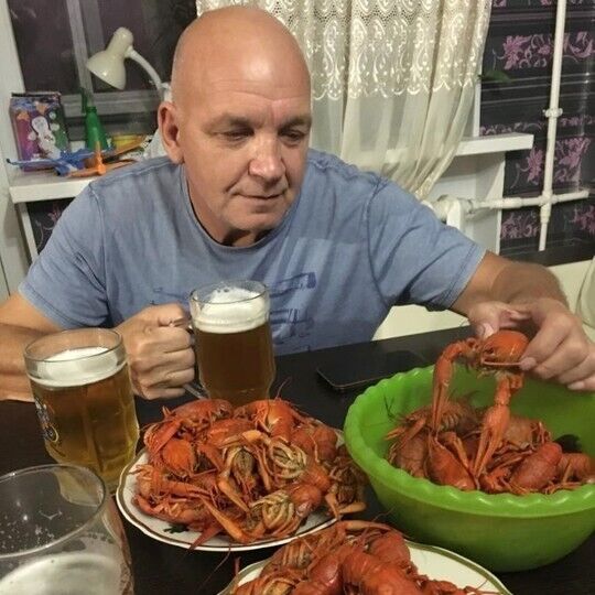 ���� 36091183 ������� ��������, 62 ����, ���� ���������� � ����������