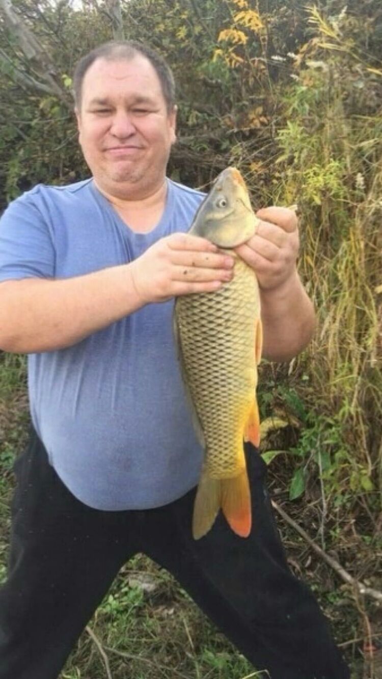   ,   , 53 ,   c 