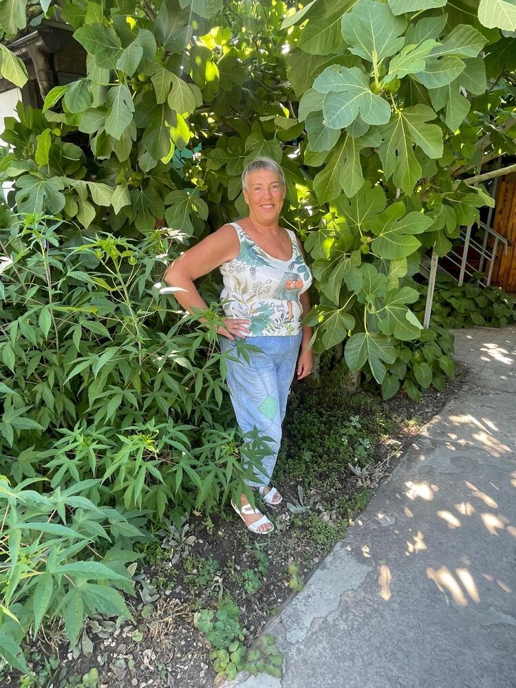 ���������� ������� ����, ���� ������� ������, 66 ���, ������������ 