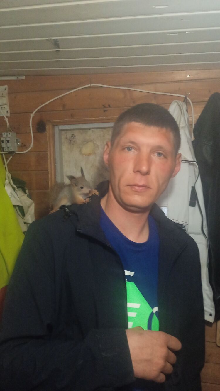 ���� 26627063 ������� ������, 40 ���, ���� ���������� � ���������