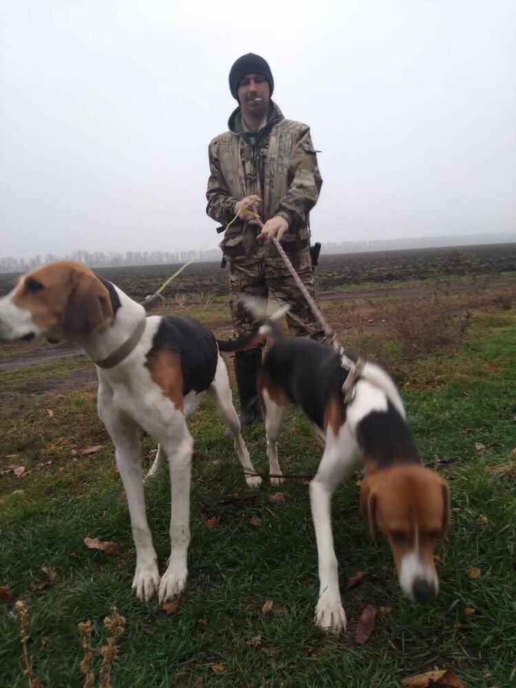 ���������� ����� �����, ���� ������� ������, 35 ���, ������������ ��� ������, ����� � ���������