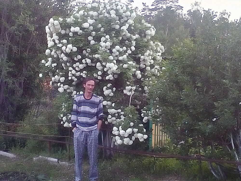 ���� 13023823 ������� ������, 57 ���, ���� ���������� � �����������