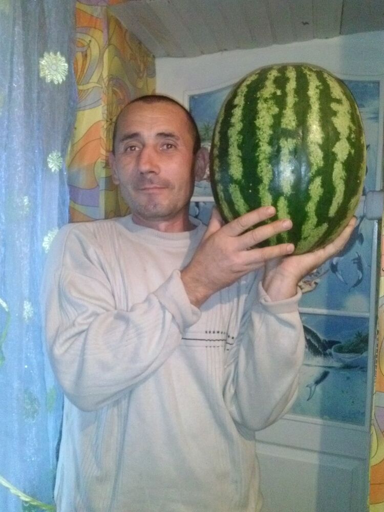  -,   , 54 ,  