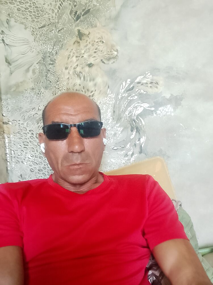  53249933   , 43 ,    