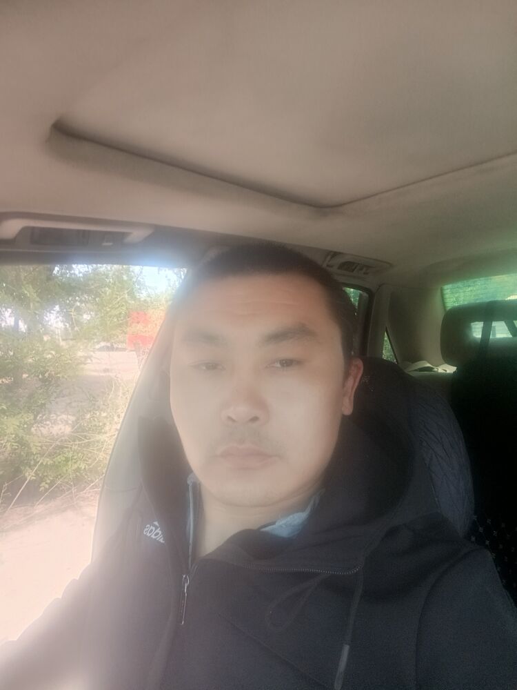  51320493  , 37 ,    