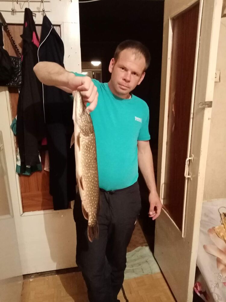 ���������� �������, ���� ������� ����, 38 ���, ������������ ��� ������, c�������� ���������, ���������