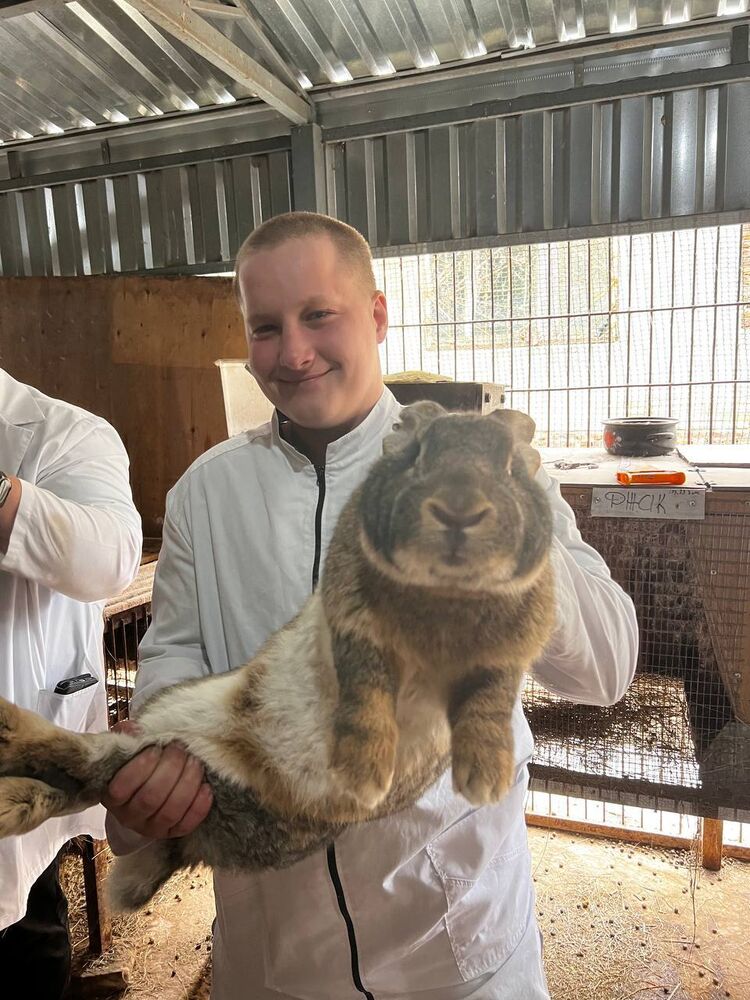 ���������� ��������������, ���� ����� �������, 20 ���, ������������ ��� ������, ����� � ���������, c�������� ���������, ���������