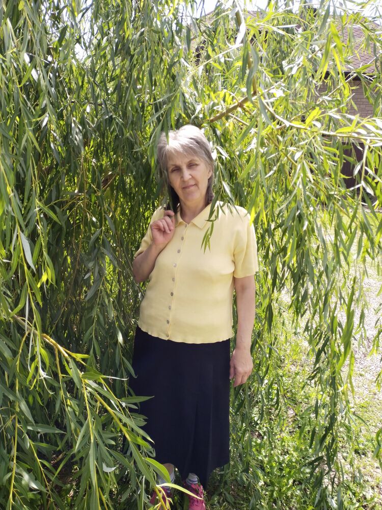 ���� 50566823 ������� ��������, 65 ���, ���� ���������� � ���������