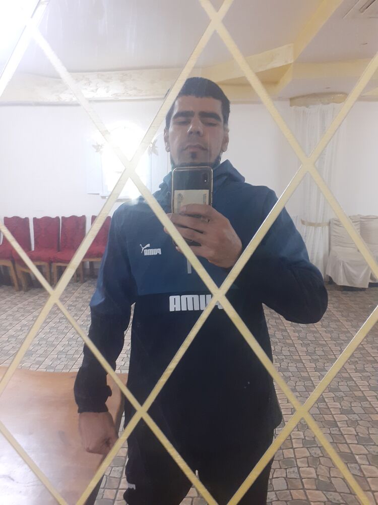  33815333  , 29 ,    