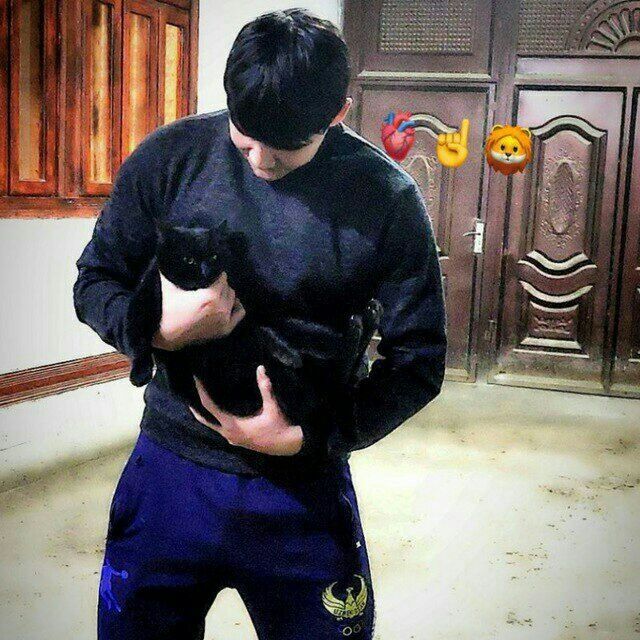 ���������� �������, ���� ������� ����� ������, 29 ���, ������������ ��� ������, ����� � ���������