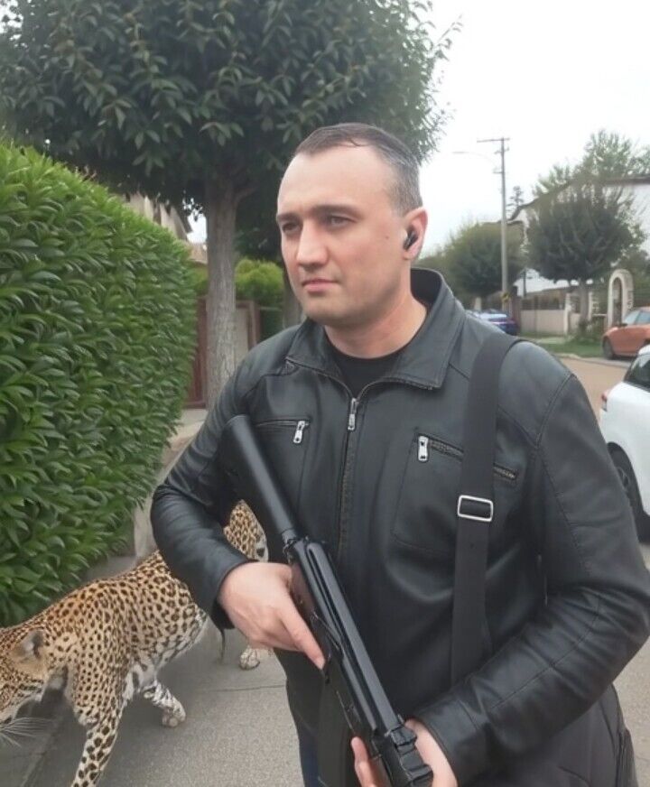  54207753  , 45 ,    Plzen