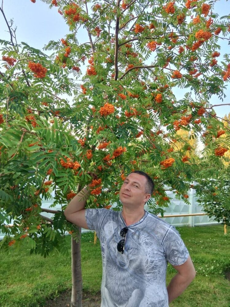 ���������� �����, ���� ������� �������, 40 ���, ������������ ��� ������, ����� � ���������, c�������� ���������, ���������