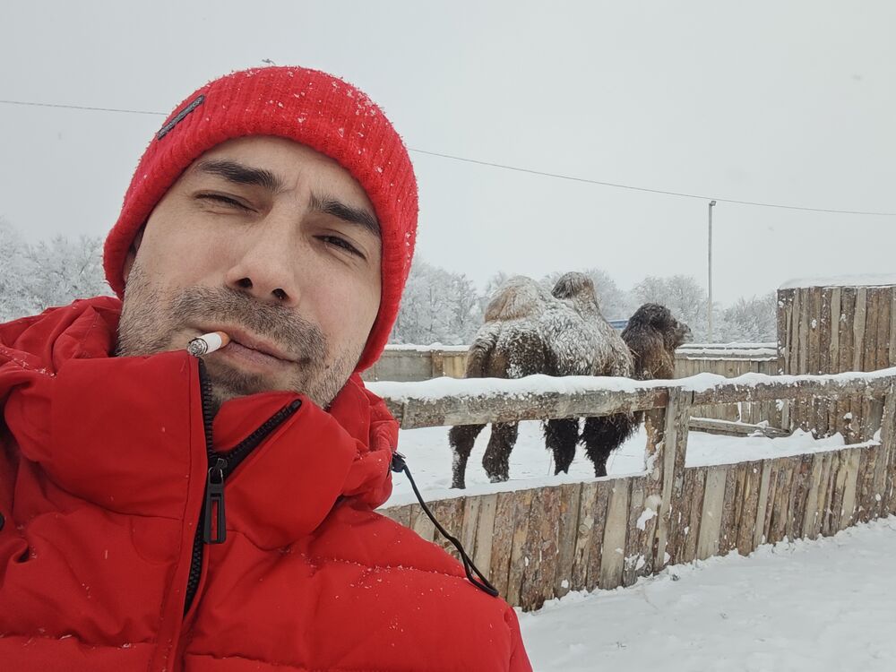 ���������� ������������, ���� ������� �������, 38 ���, ������������ ��� ������, ����� � ���������, c�������� ���������