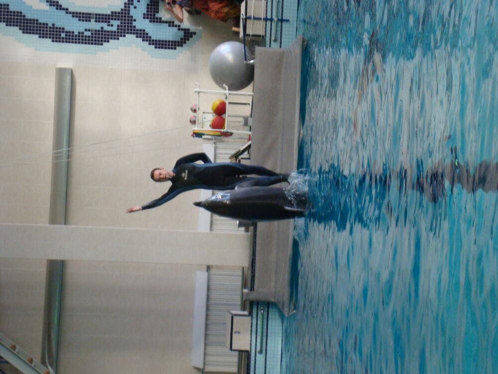 ���� 5221173 ������� �����, 47 ���, ���� ���������� � ������