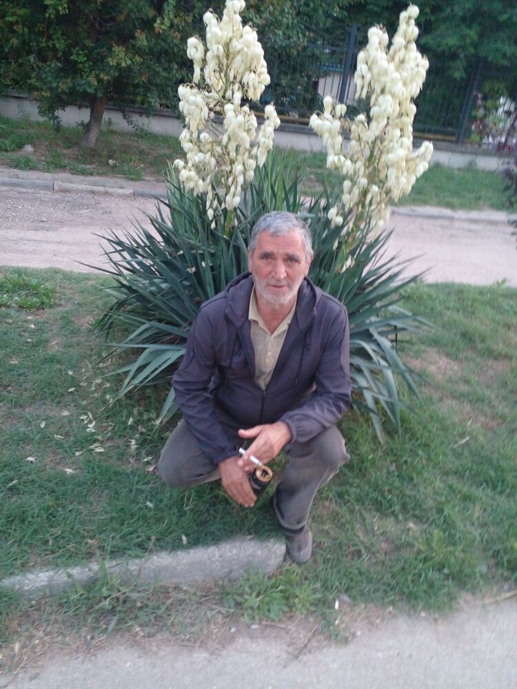 ���� 52203293 ������� ����, 55 ���, ���� ���������� � �����