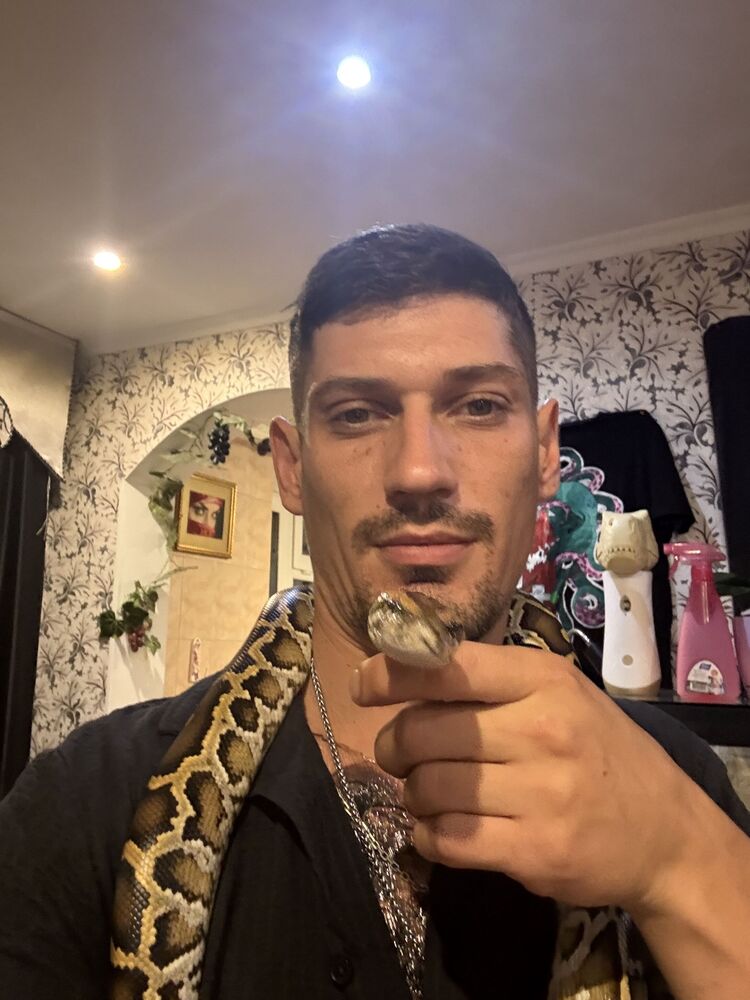 ���������� �����������, ���� ������� ���������, 33 ����, ������������ ��� ������, ����� � ���������, ���������