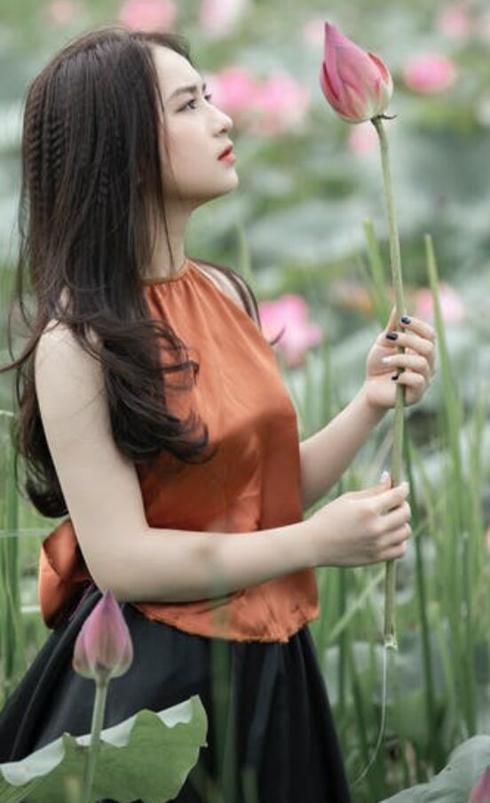  ,   , 37 ,     , 