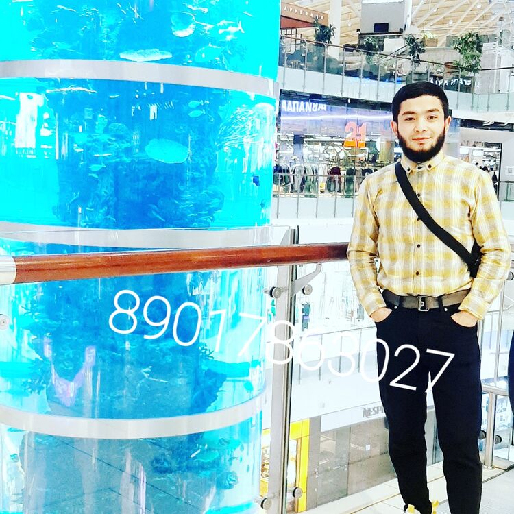  29446843  , 25 ,    