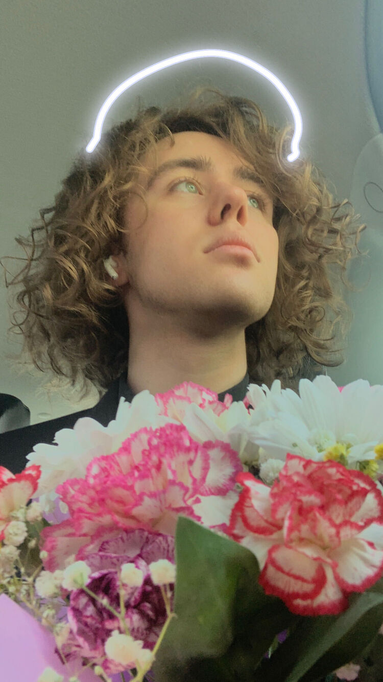 ���� 40536703 ����� ������, 24 ����, ���� ���������� � �����-����������