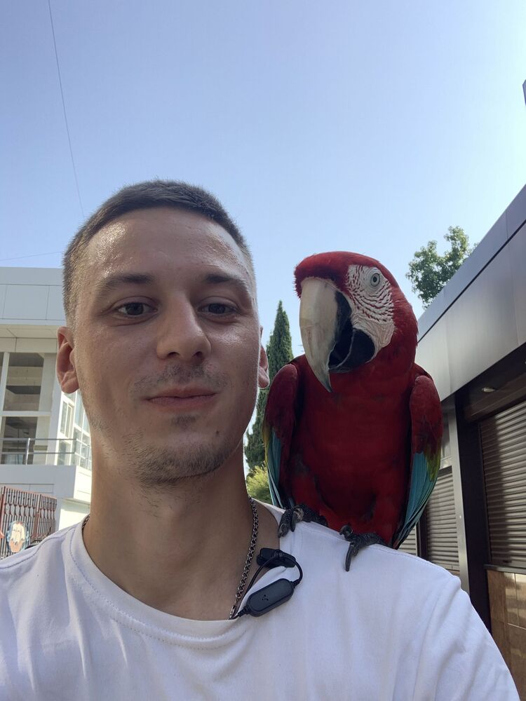 ���� 29172043 ������� ������, 30 ���, ���� ���������� � ������