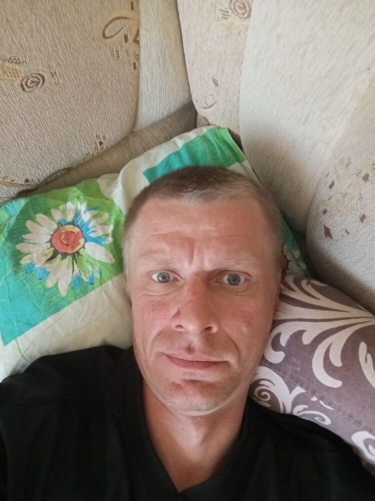  43153513  , 36 ,    