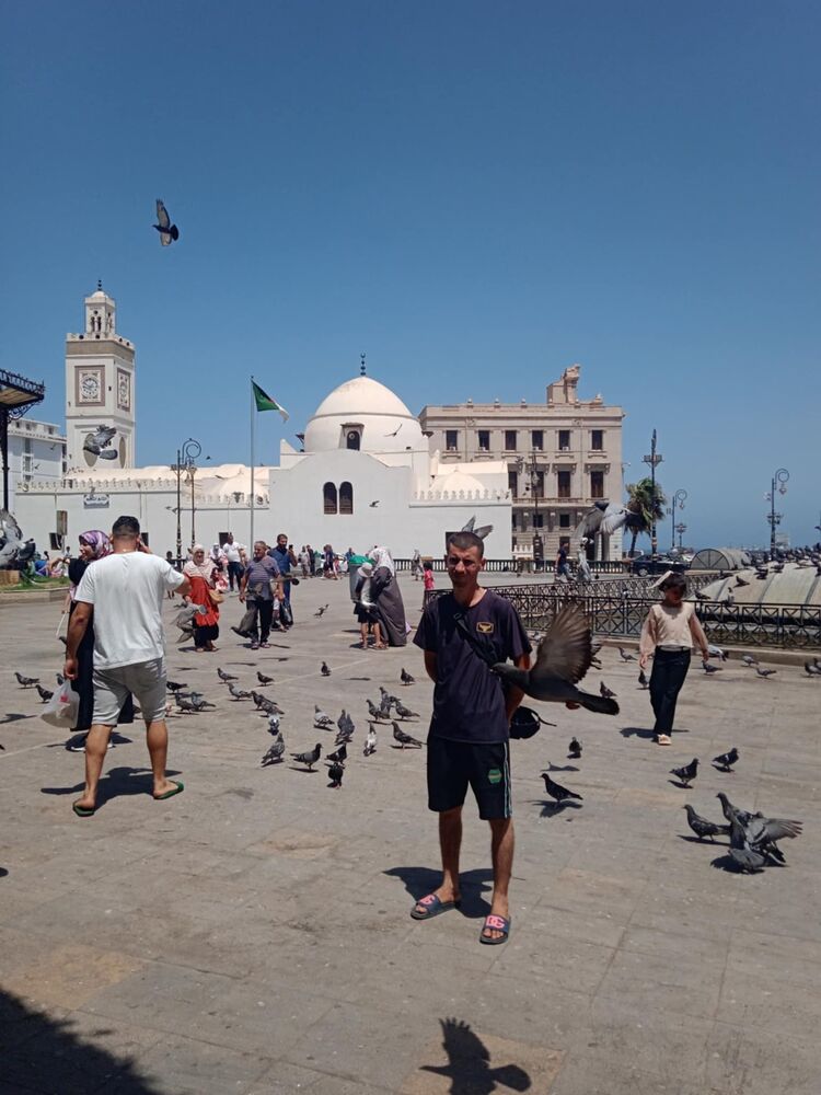  47675613  Moh milano, 35 ,    Algiers