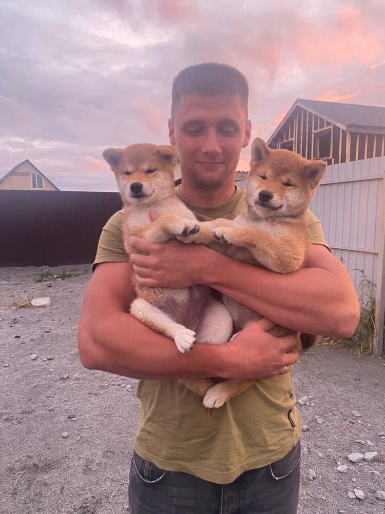 ���������� ���������, ���� ������� ������, 38 ���, ������������ ��� ������, ����� � ���������, c�������� ���������